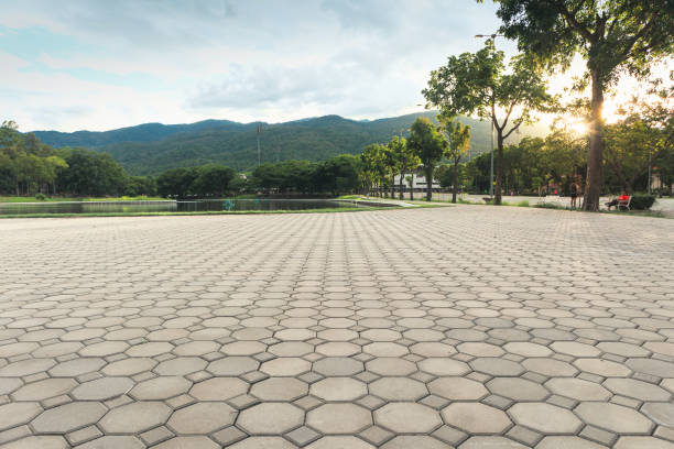 Best Driveway Pavers Near Me  in Wyoming, DE