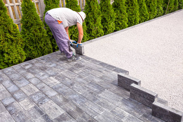 Best Local Driveway Pavers  in Wyoming, DE